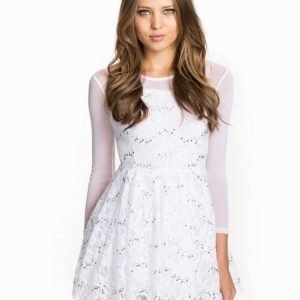 John Zack Lace & Mesh Skater Dress