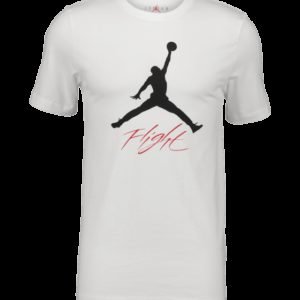 Jordan Jumpman Flight Hbr Tee T-Paita