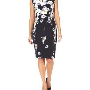 Lauren By Ralph Lauren Novellina Birdsong Mekko