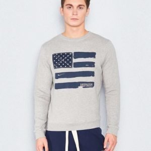 Lexington Lucas Sweatshirt Heather Grey Melange