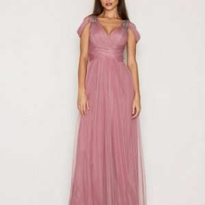 Little Mistress Mesh Maxi Dress W / T Silver Details Maksimekko Rose