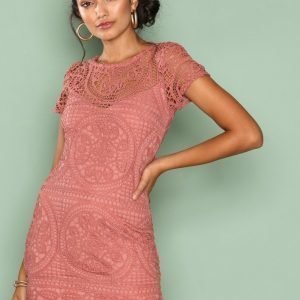 Love Triangle Amalfi Lace Mini Dress Kotelomekko Dark Rose