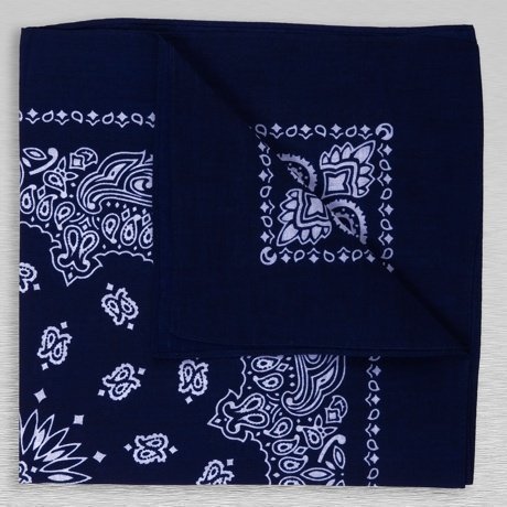 MSTRDS Bandana Huivi Sininen