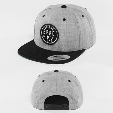 Mister Tee Snapback Lippis Harmaa