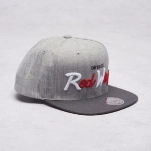 Mitchell & Ness Detroit Redwings Snapback Grey