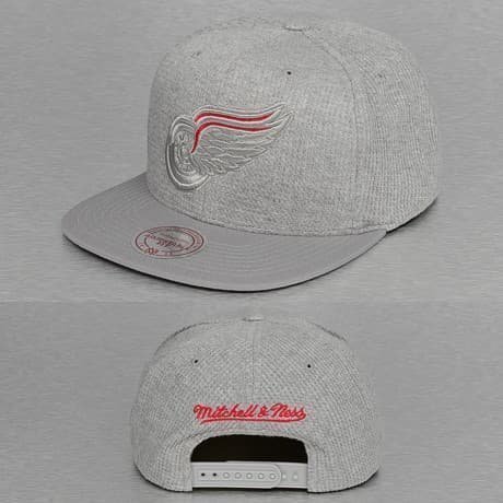 Mitchell & Ness Snapback Lippis Harmaa