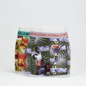 Muchachomalo Poles 2-pack 04 Poles Print