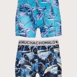 Muchachomalo Shark 2-Pack Boxer Bokserit Multicolor