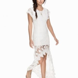 NLY ICONS Long Back Lace Dress