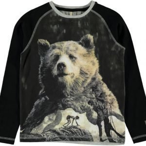 Name it Pusero Jungle bears Black Black