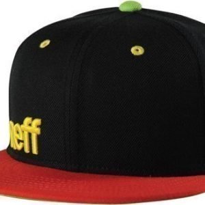 Neff keps Daily Cap Rasta