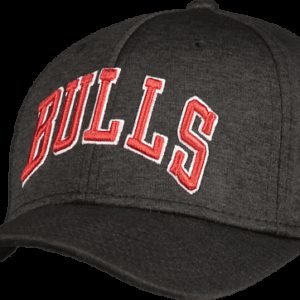 New Era 39thirty Wrdmrk Bulls Lippis