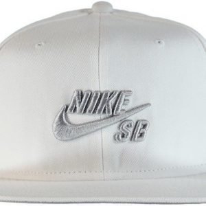 Nike Nk Cap Pro Lippis