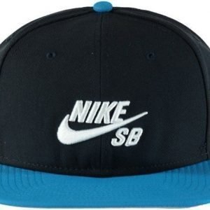 Nike Nk Cap Pro Lippis