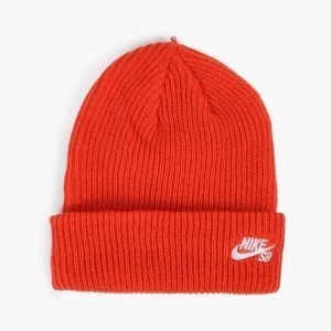 Nike SB Fisherman Beanie