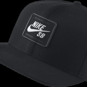 Nike Sb Arobill Pro Cap 2.0 Lippis