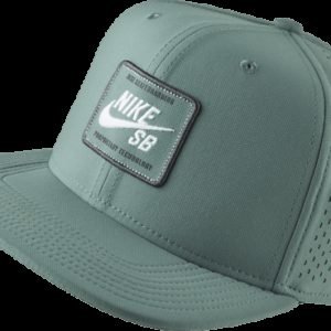 Nike Sb Arobill Pro Cap 2.0 Lippis