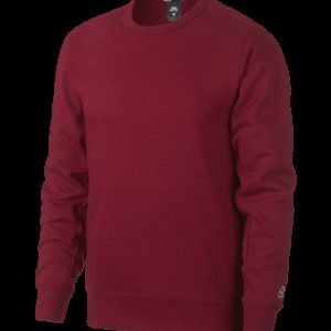 Nike Sb Crew Icon Collegepaita
