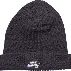 Nike Sb Fisherman Beanie Pipo