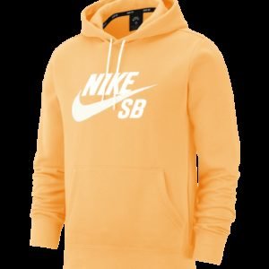 Nike Sb Icon Hoodie Huppari