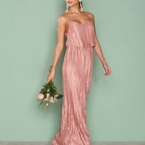 Nly Eve Pretty Pleats Gown Maksimekko Rose