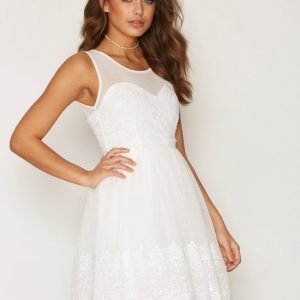 Nly One Lace Mesh Skater Dress Skater Mekko Valkoinen