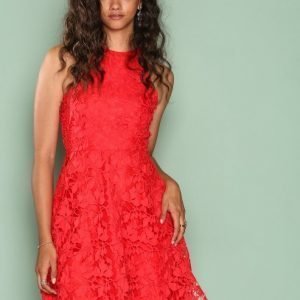 Nly One Scallop Lace Dress Skater Mekko Punainen