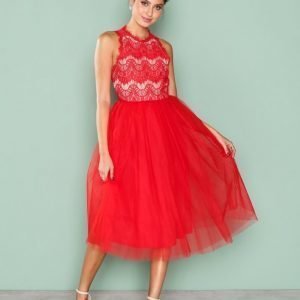 Nly One Tulle Lace Dress Skater Mekko Punainen