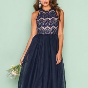 Nly One Tulle Lace Dress Skater Mekko Tummansininen