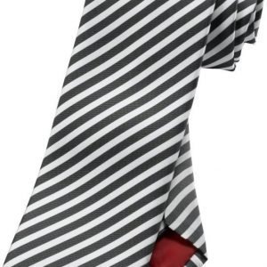Olymp Silkkisolmio