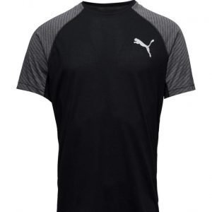 PUMA SPORT Dri-Release Ss Graphic Tee urheilupaita