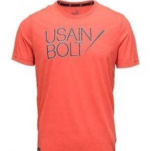 PUMA SPORT Ub Logo Tee urheilupaita