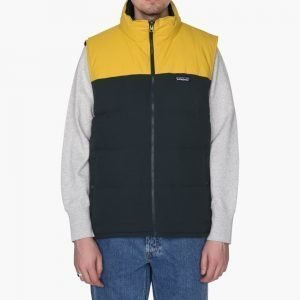 Patagonia Reversible Bivy Down Vest