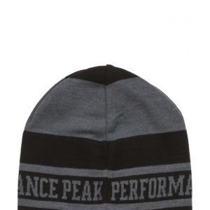 Peak Performance Sw Logo Ha lippis