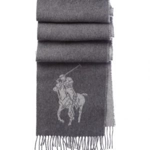 Polo Ralph Lauren Big Pony Jacquard Villahuivi