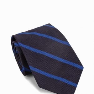 Polo Ralph Lauren Tiem Neck Tie Solmio Royal