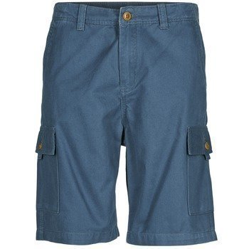 Quiksilver EVERYDAY CARGO SHORT bermuda shortsit