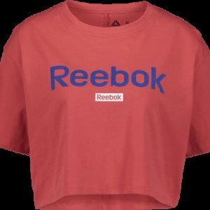 Reebok Linear Logo Tee Paita