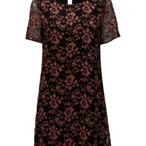 Saint Tropez Lace Dress W Short Sleeves lyhyt mekko