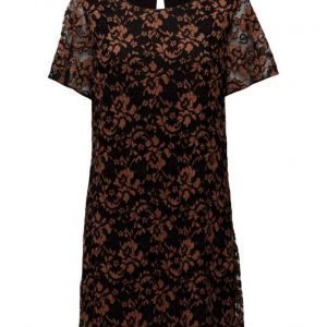 Saint Tropez Lace Dress W Short Sleeves lyhyt mekko