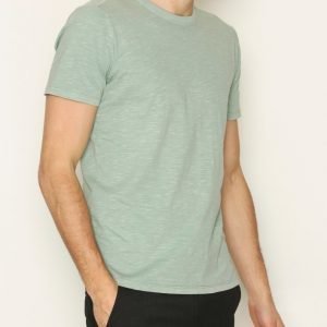 Selected Homme Shhben Overdye Ss O-Neck Tee Noos T-paita Vihreä