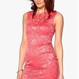 Sisters Point Icat-a Dress 520 Coral