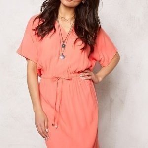 Soaked In Luxury Allie Dress Shell Pink