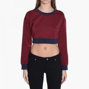 Stussy Arbour Crop Top