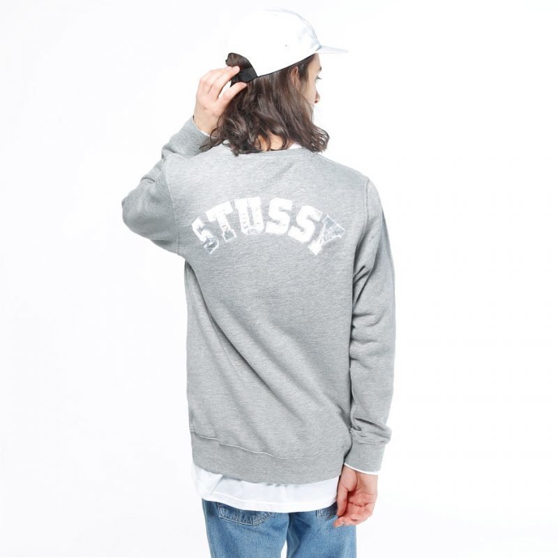 Stüssy Back Arc -college