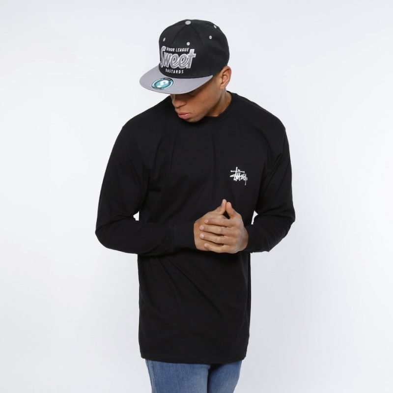 Stüssy Basic Logo -longsleeve