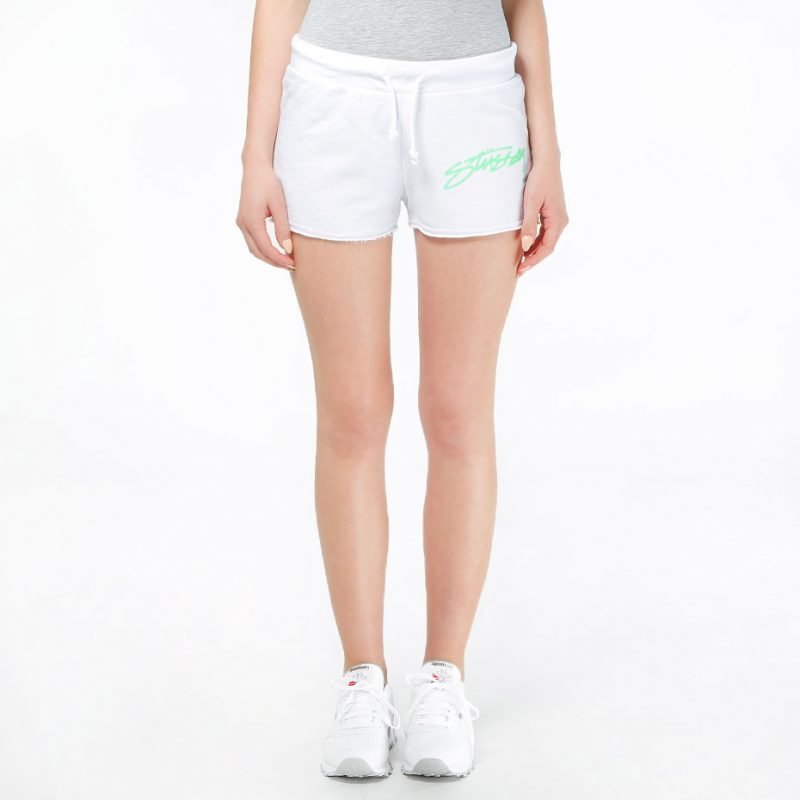 Stüssy Smooth Stock -shortsit