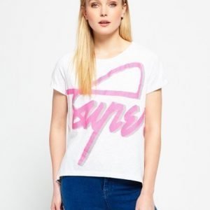 Superdry Boyfriend Mallinen 3d T-paita Vaaleanharmaa