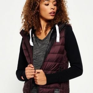 Superdry Core Luxe Toppaliivi Purppura