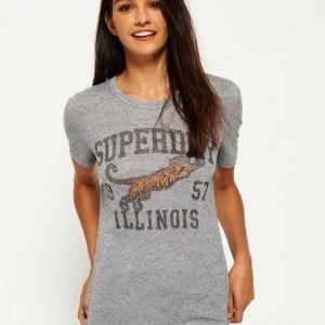 Superdry Olivia Collegiate T-paita Vaaleanharmaa